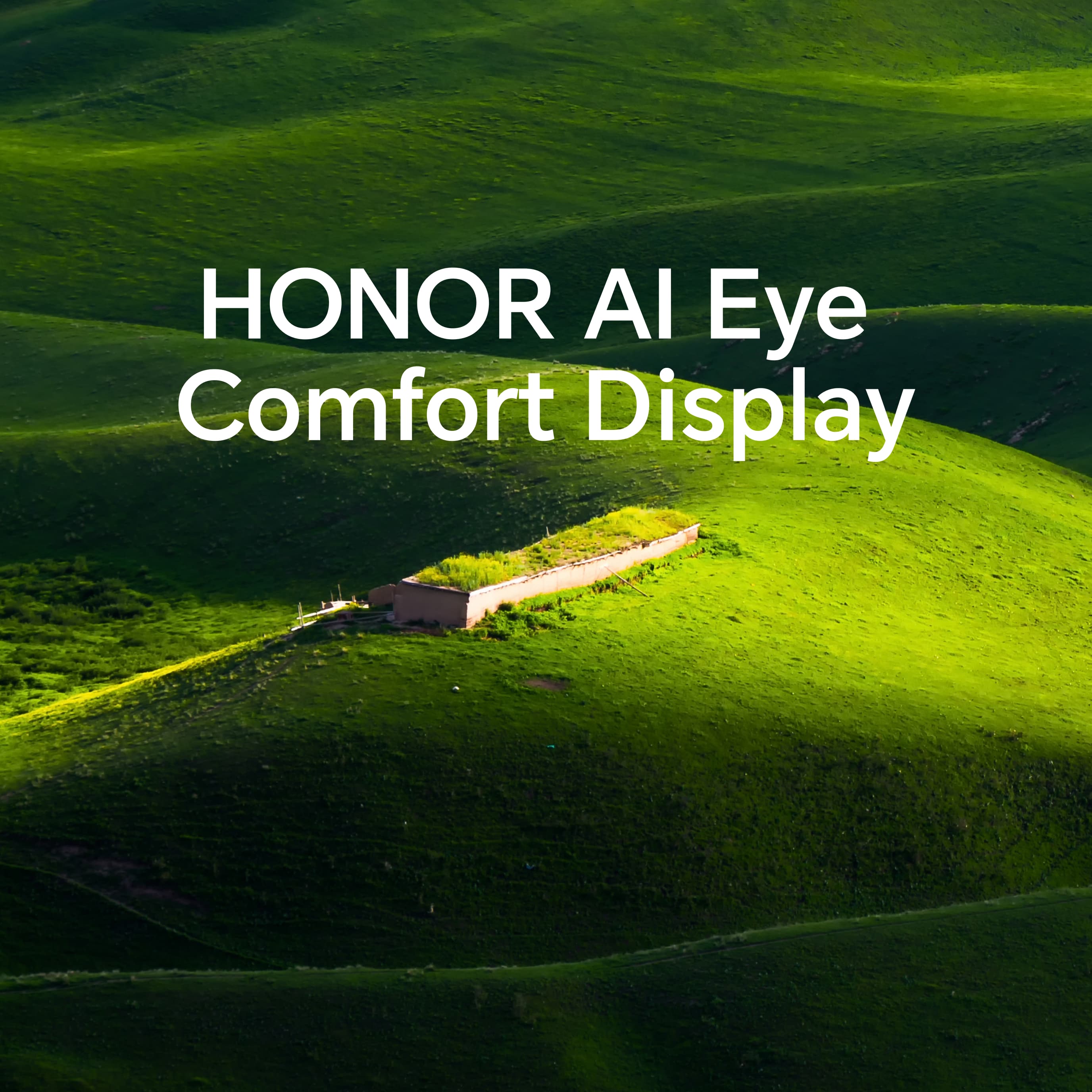 HONOR AI Eye Comfort Display