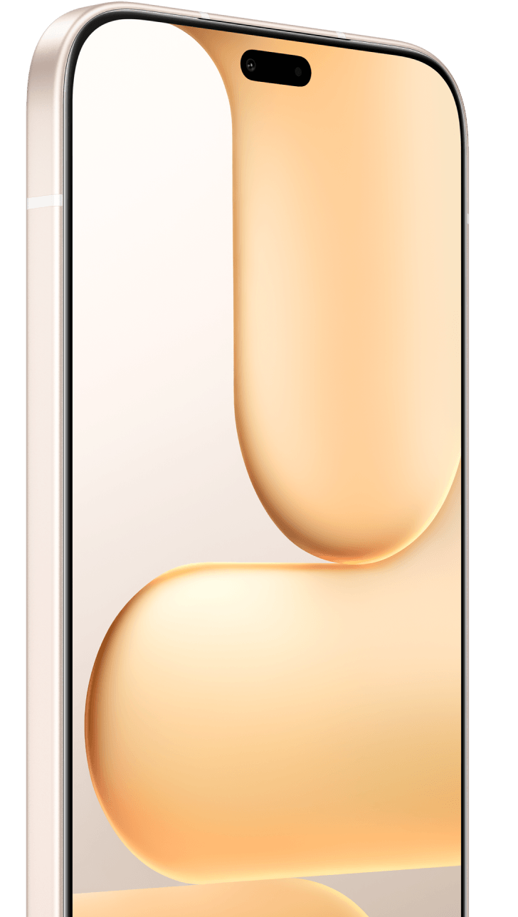 HONOR 600 Lite