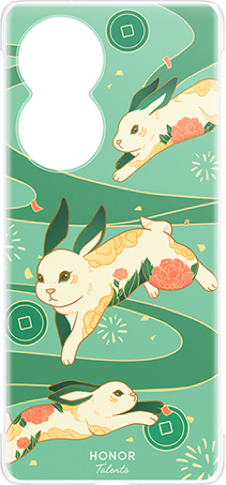 荣耀80 PC保护壳