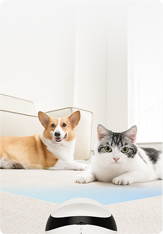 HONOR CHOICE enabot Pet Companion Robot - Capturez votre animal en mouvement