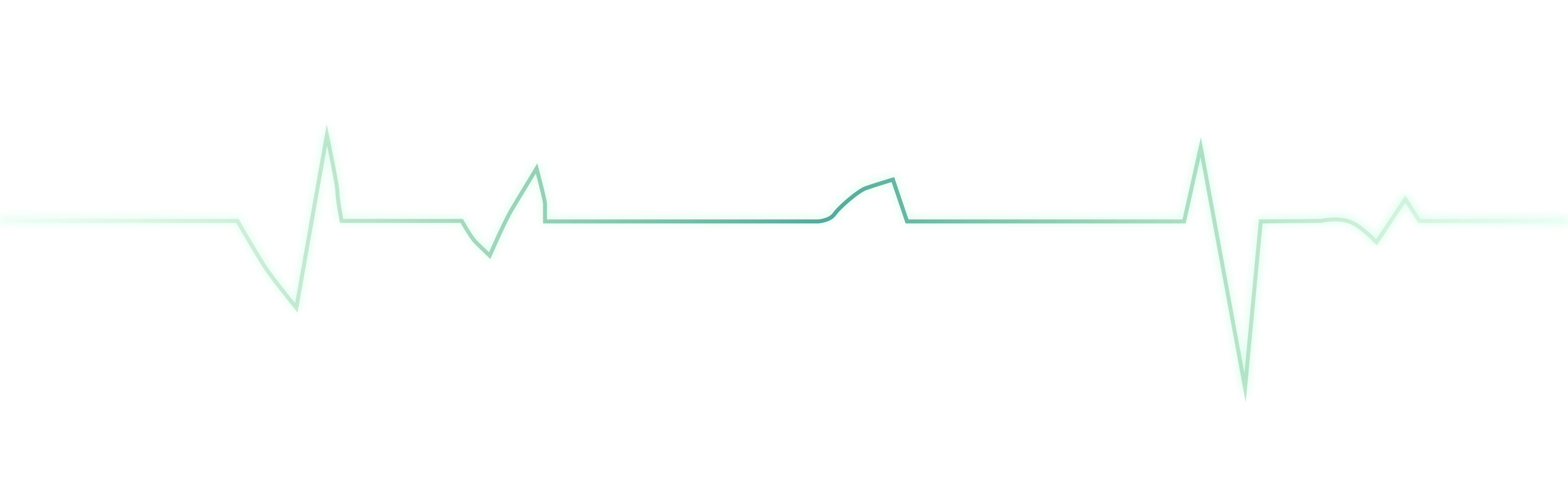 A Guardian with 24h Heart Rate Monitor 1