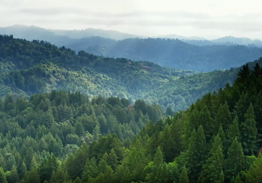 Nachhaltigkeit bei HONOR Produkten 
