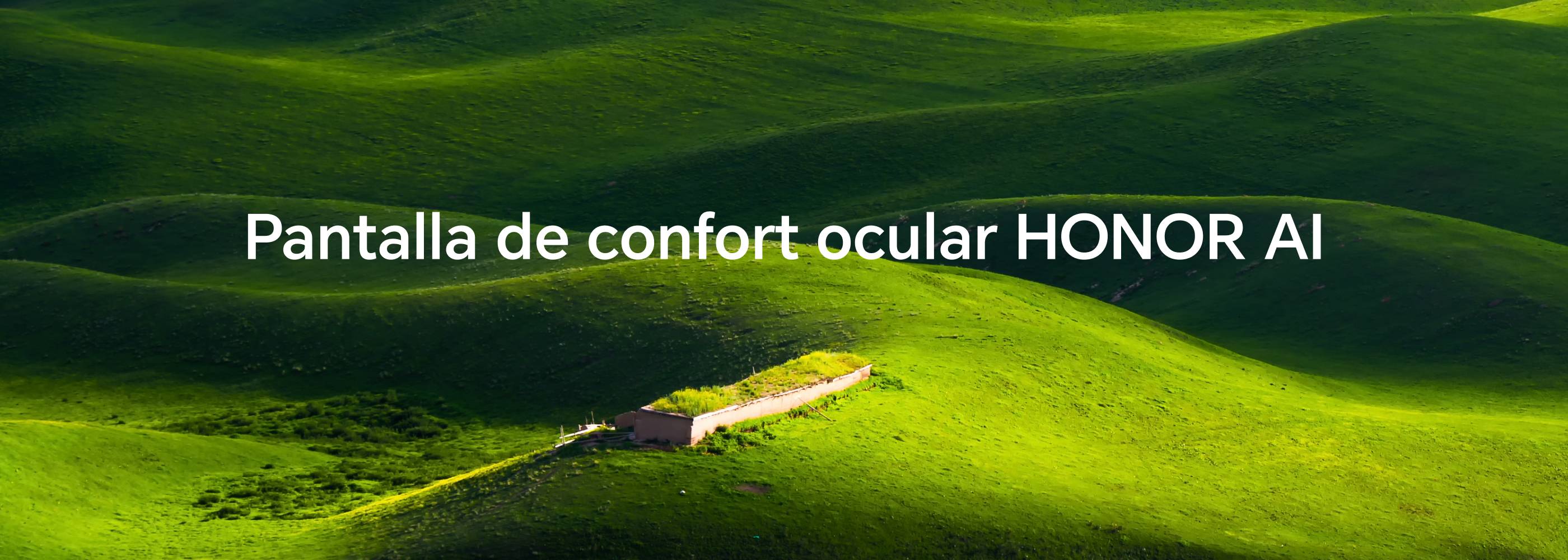 HONOR AI Eye Comfort Display