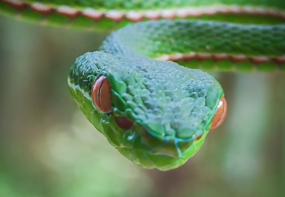 Photographies récompensées lors des précédents HONOR MAGIC MOMENTS 