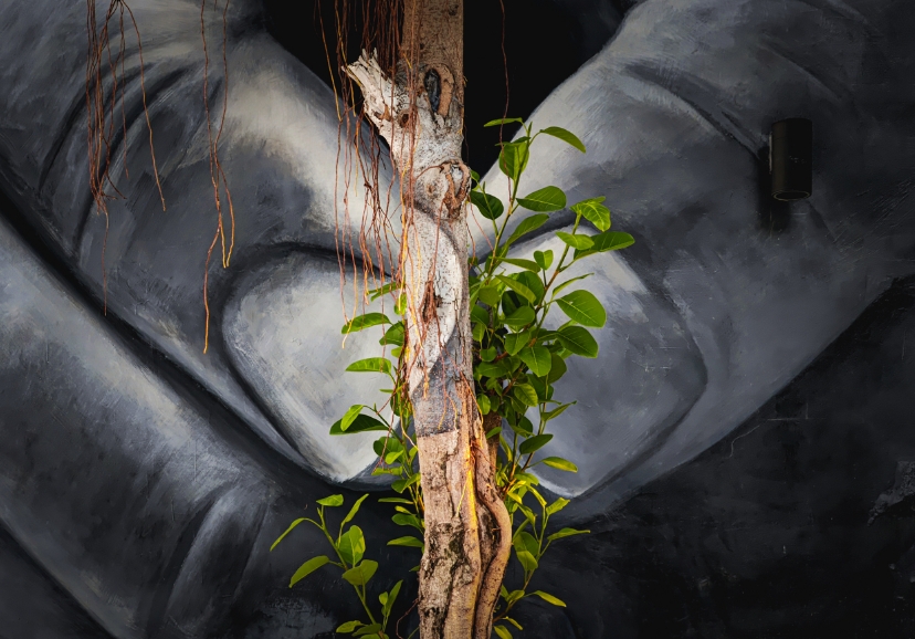 Photographies récompensées lors des précédents HONOR MAGIC MOMENTS 