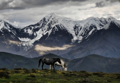 Photographies récompensées lors des précédents HONOR MAGIC MOMENTS 