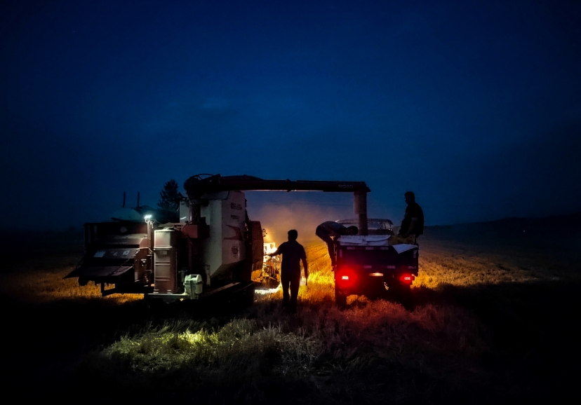 Photographies récompensées lors des précédents HONOR MAGIC MOMENTS 