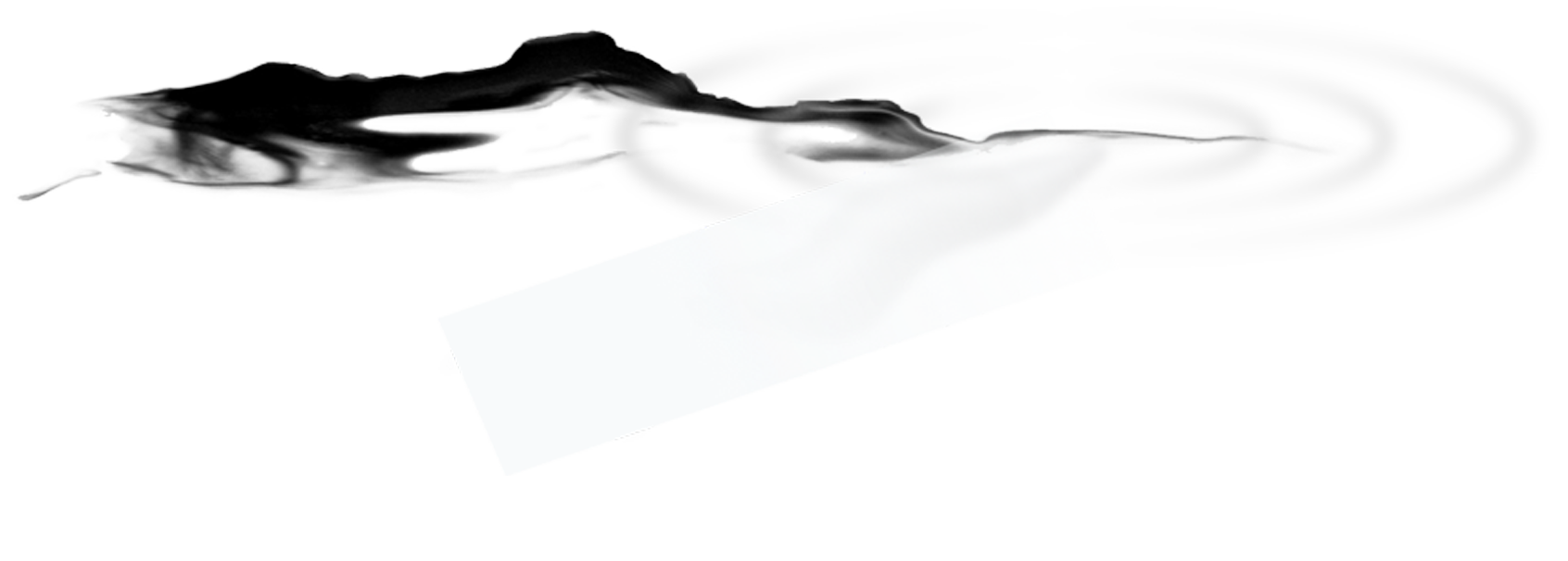 Souplesse ou fermeté, chaque trait se précise. 2