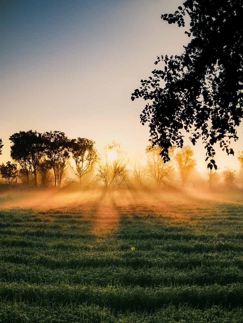 Marvelous misty morning