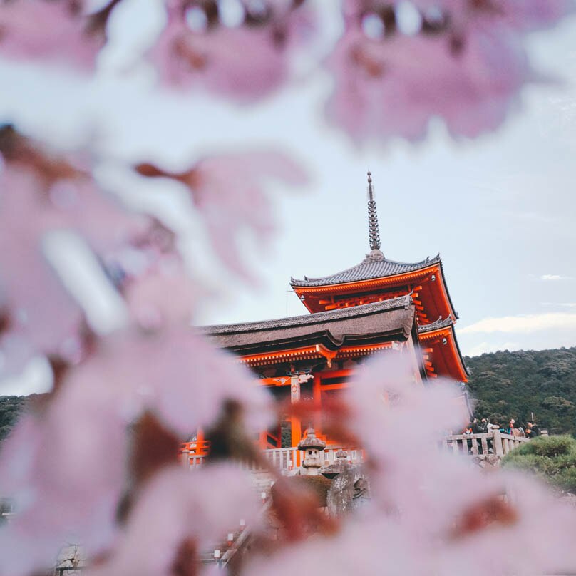 Sakura and Temple