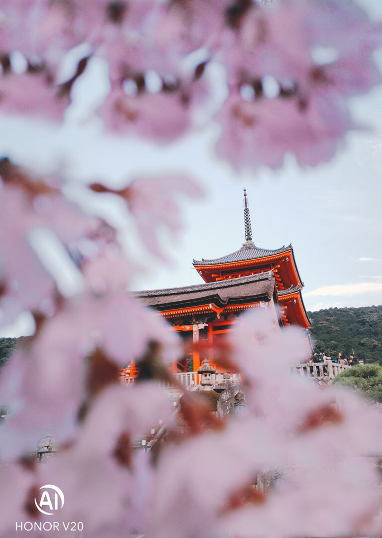 Sakura and Temple
