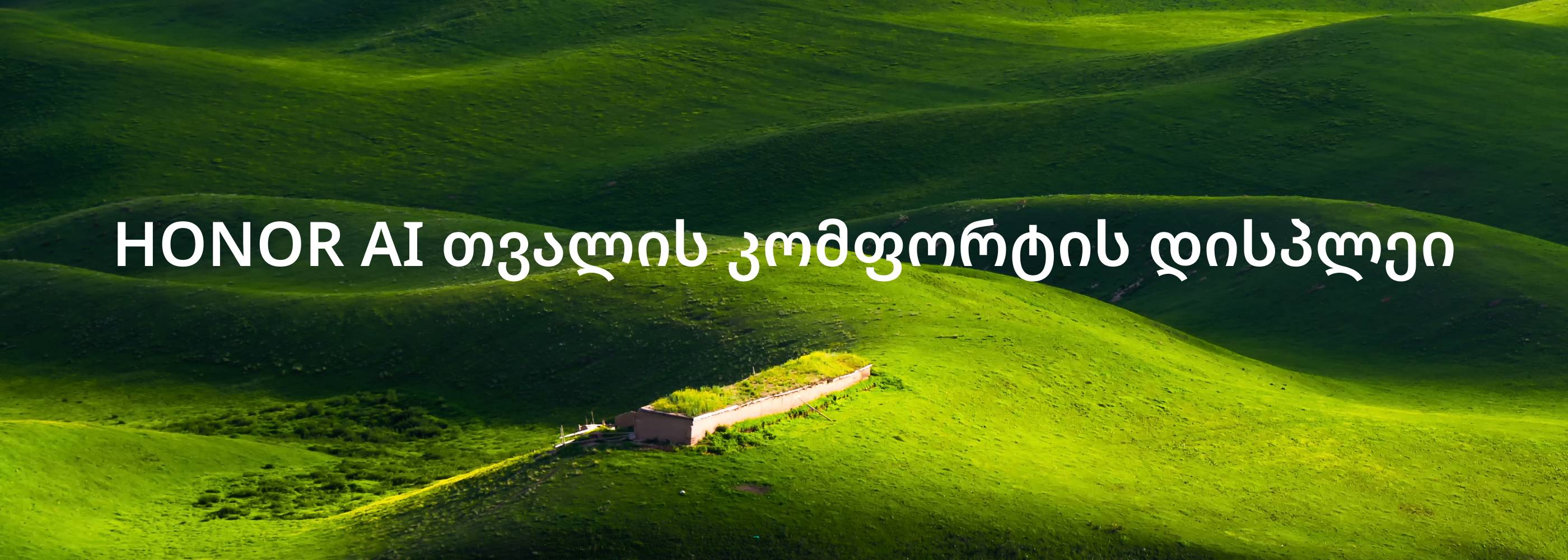 HONOR AI Eye Comfort Display