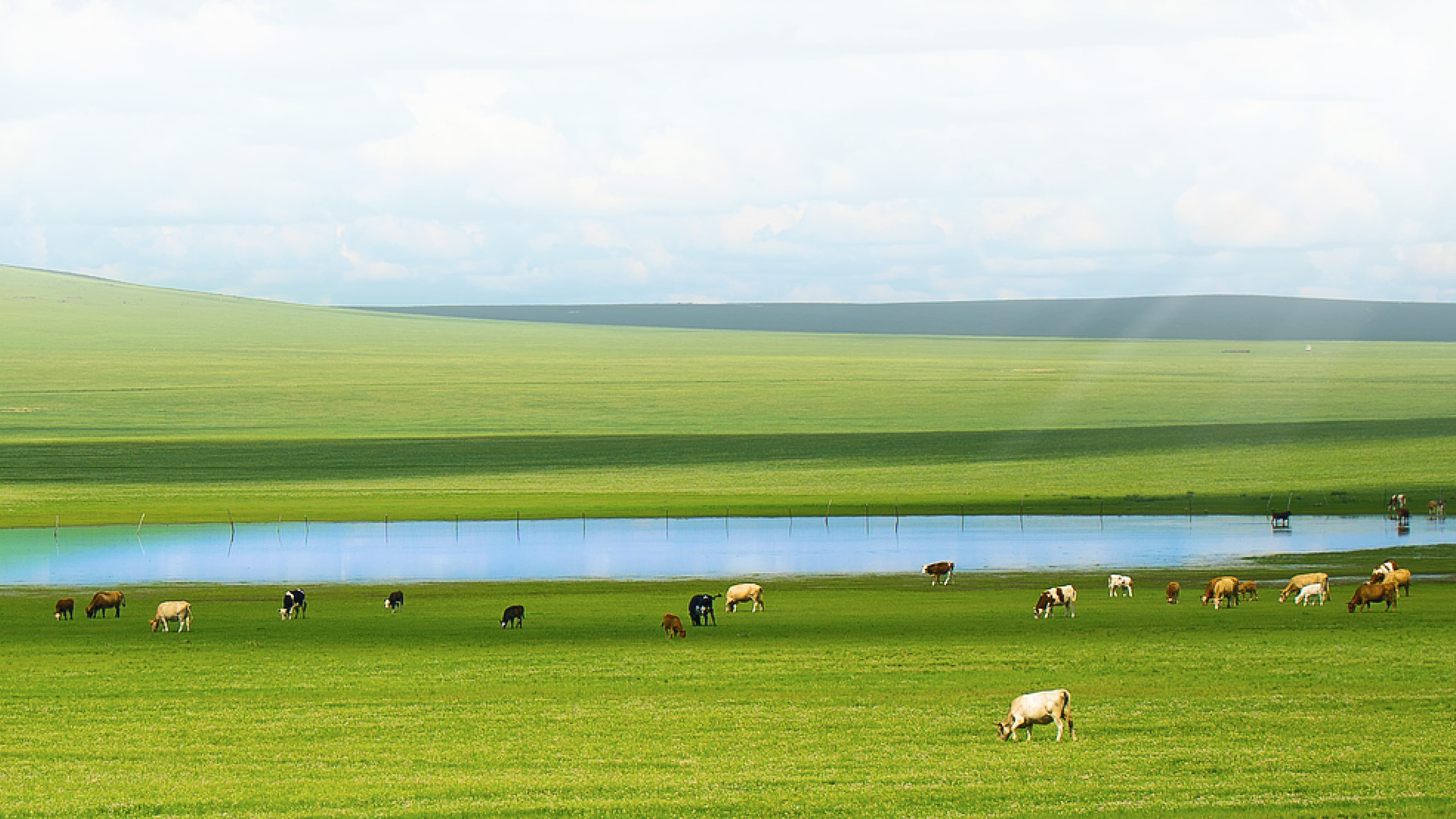თვალის დაცვა, სპეციალურად თქვენთვის 1