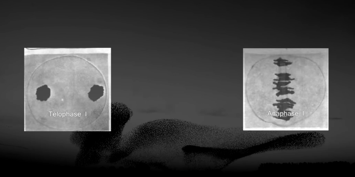 艺术互动装置赛道