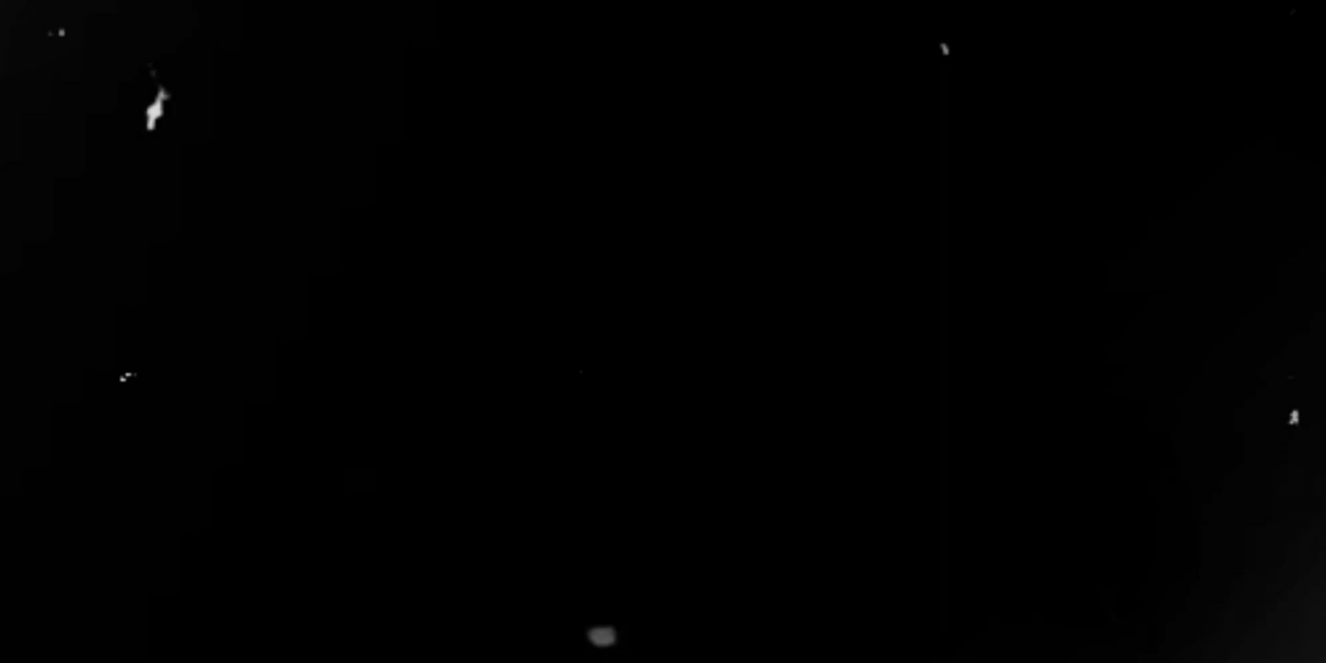 Preis für den besten Nachwuchs