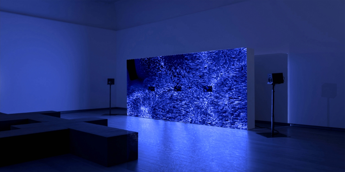 Preis für den besten Nachwuchs