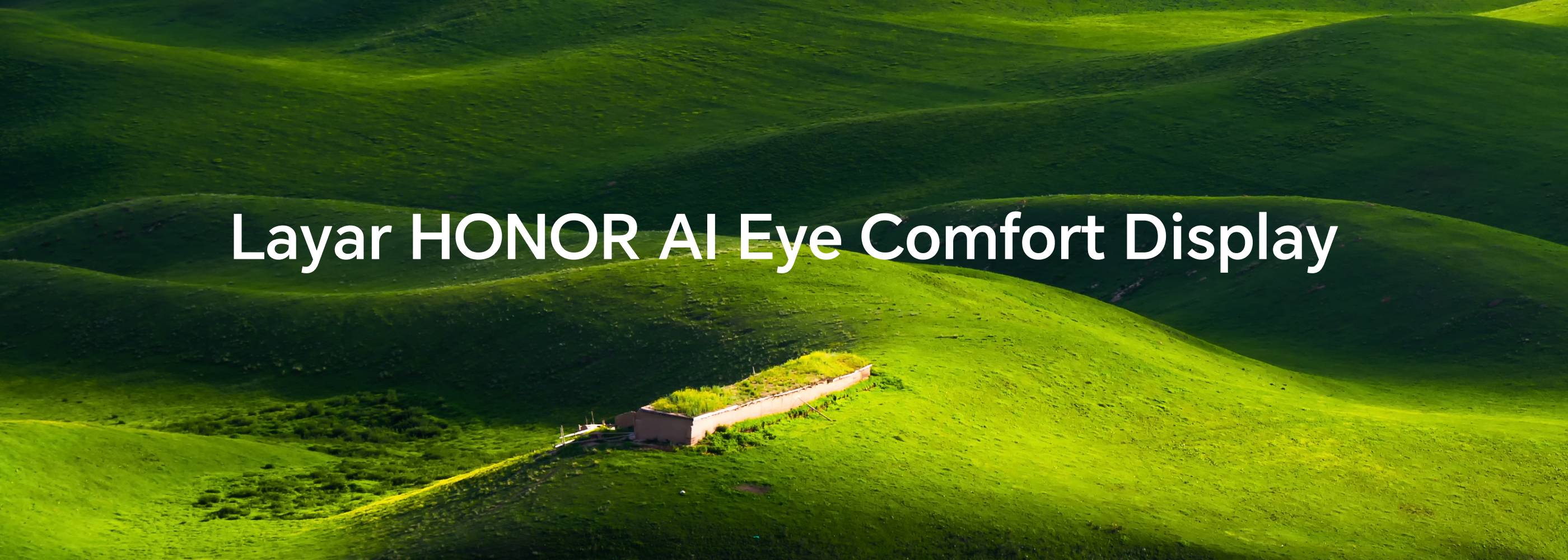 HONOR AI Eye Comfort Display