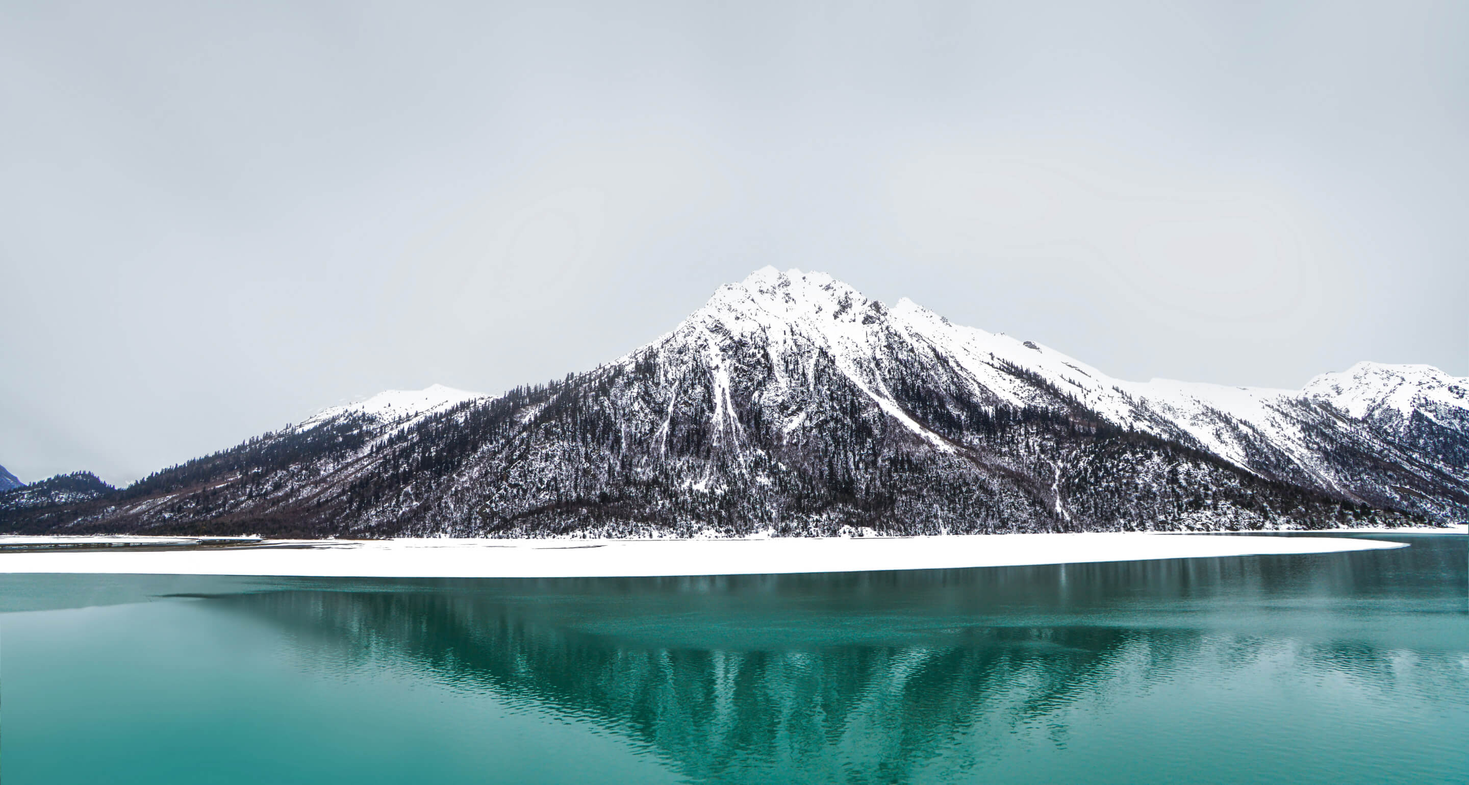 لا شيء يضاهي الشاشة الكبيرة  1