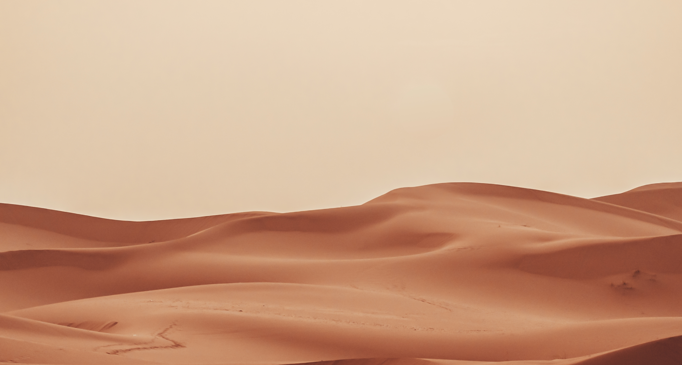 برتقالي مُشرق 3