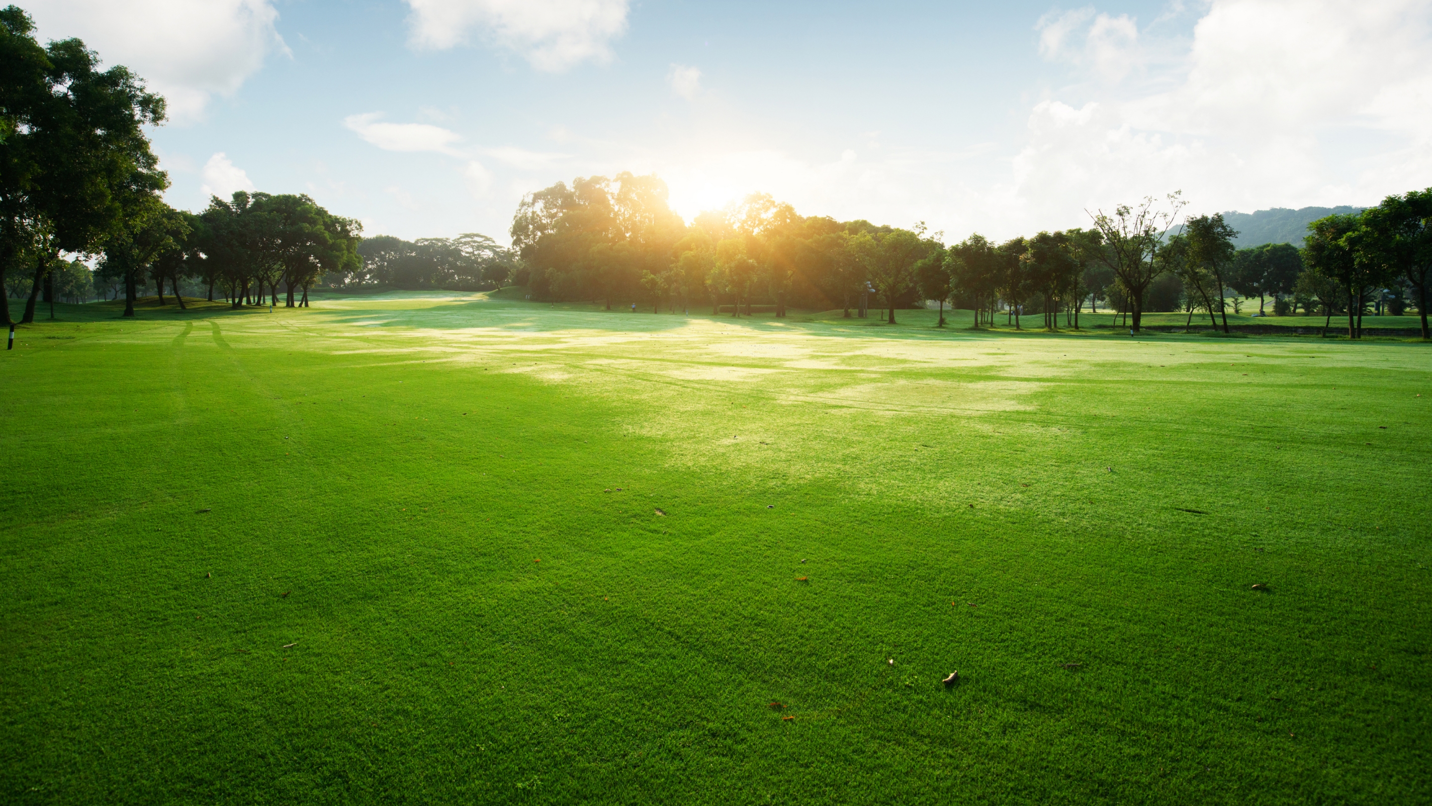 أكثر سطوعًا ووضوحًا وديناميكية على الشاشة الكبيرة