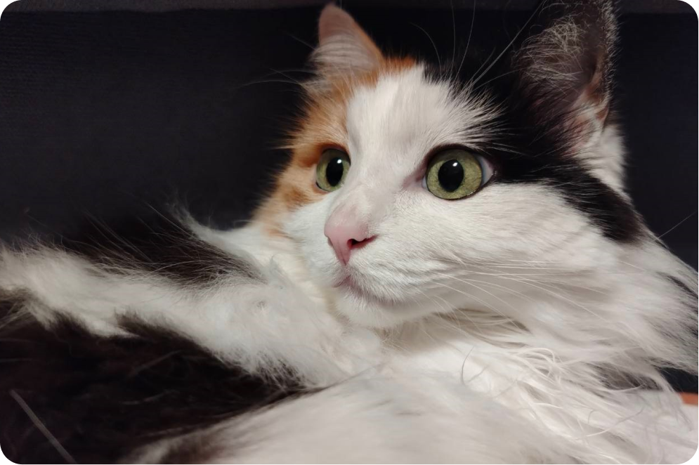 أظهر اللحظات النادرة بشكل استثنائي  2