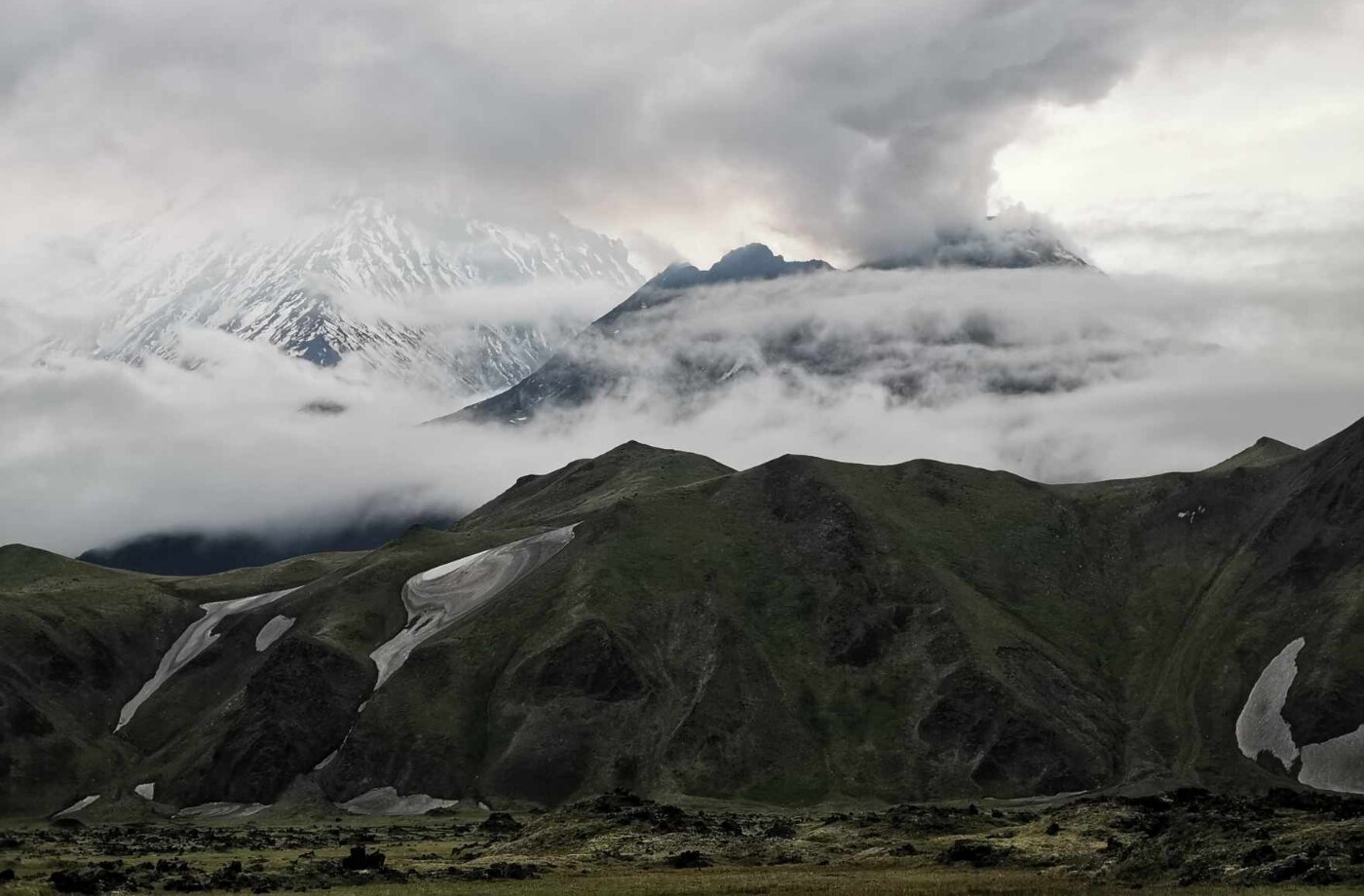 Объявление номинантов