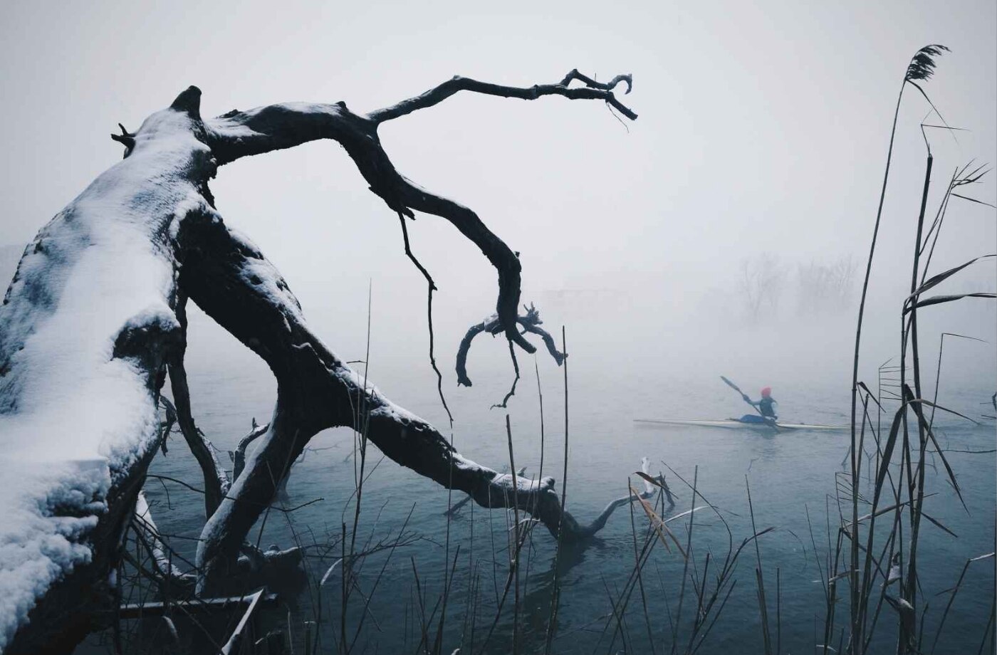 Объявление номинантов