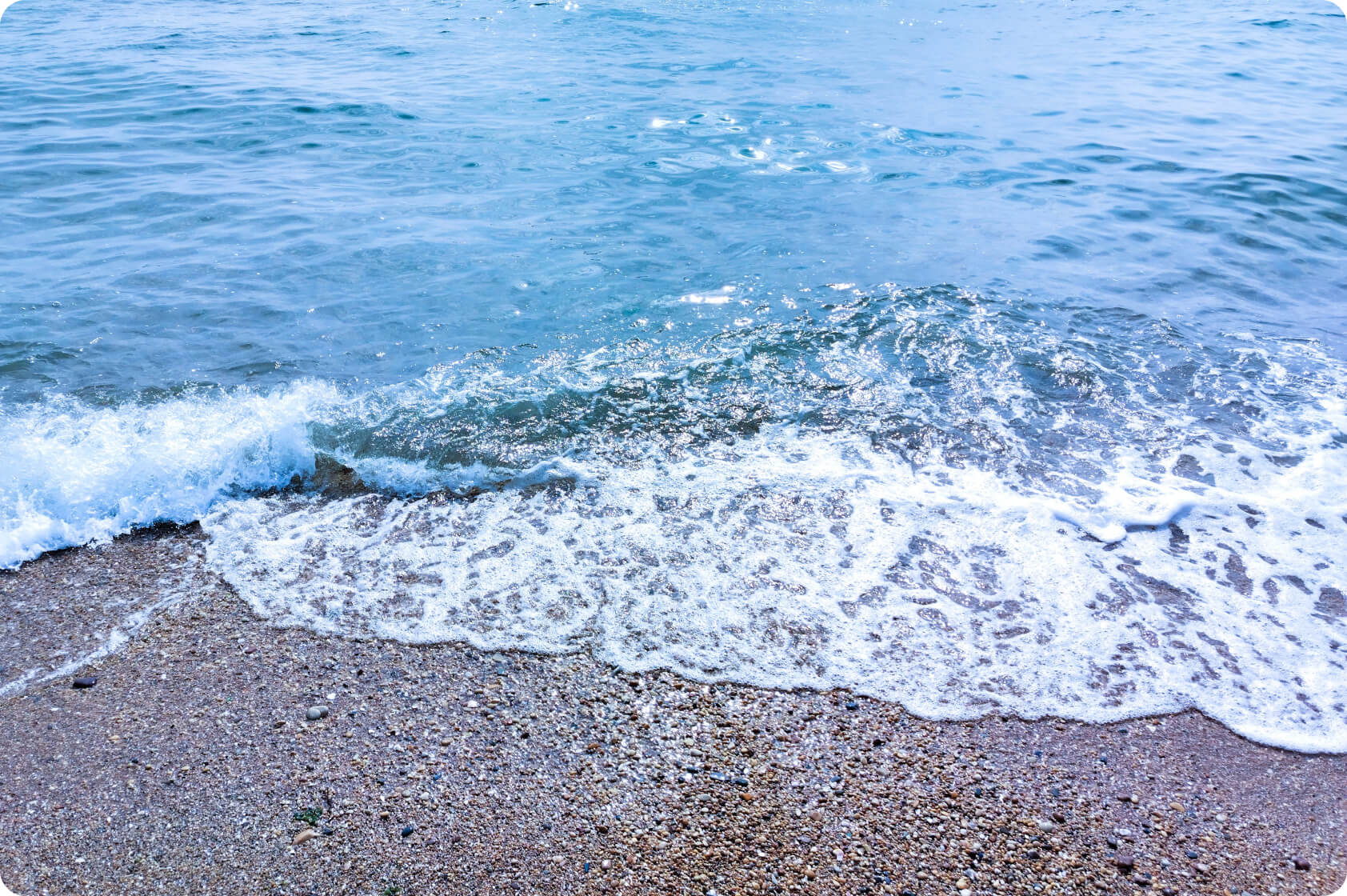 Captura cada fascinante momento de la vida 2