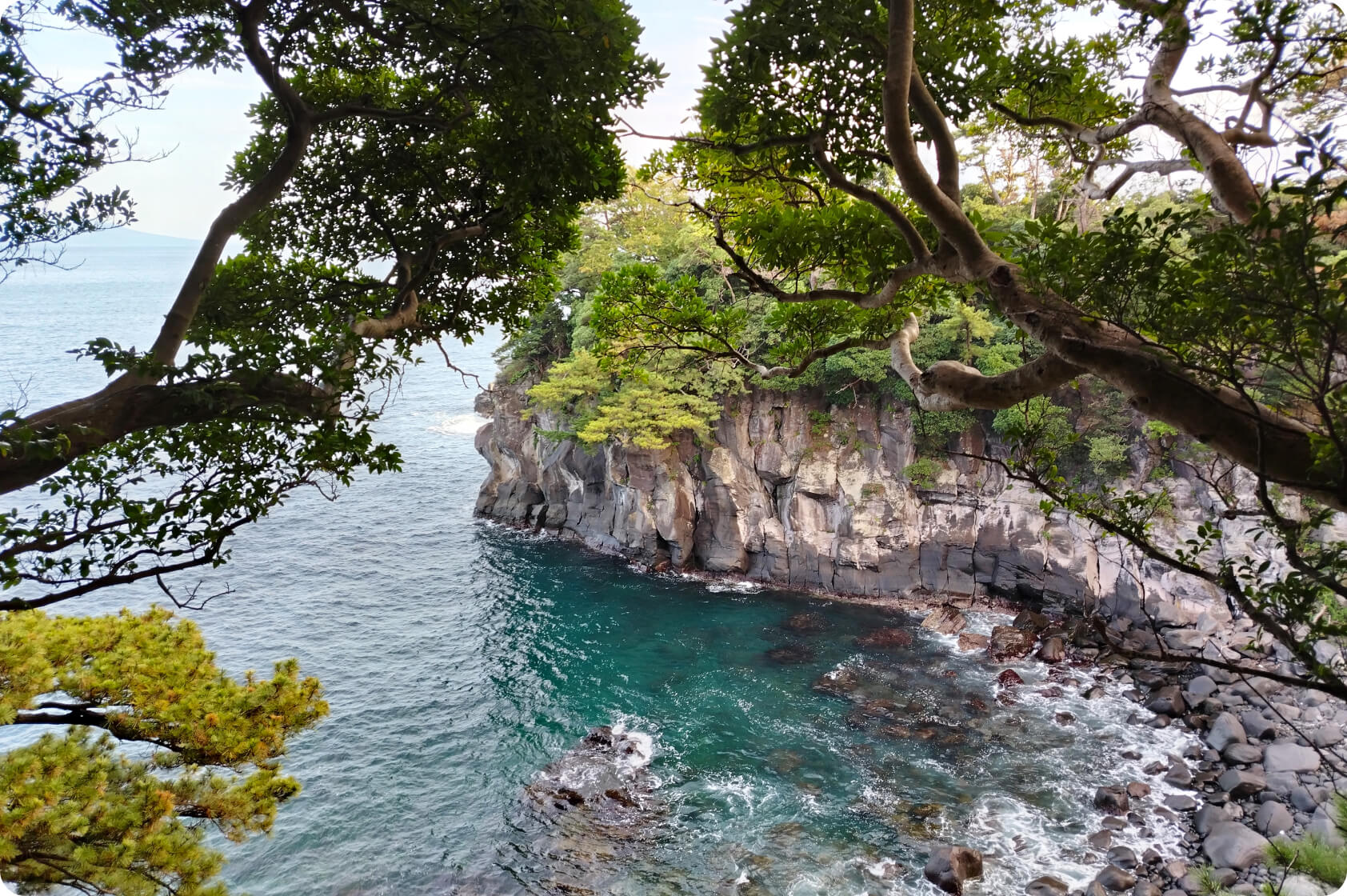 Captura cada fascinante momento de la vida 3