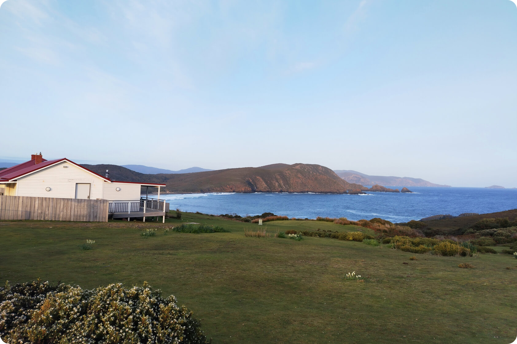 Captura cada fascinante momento de la vida 5