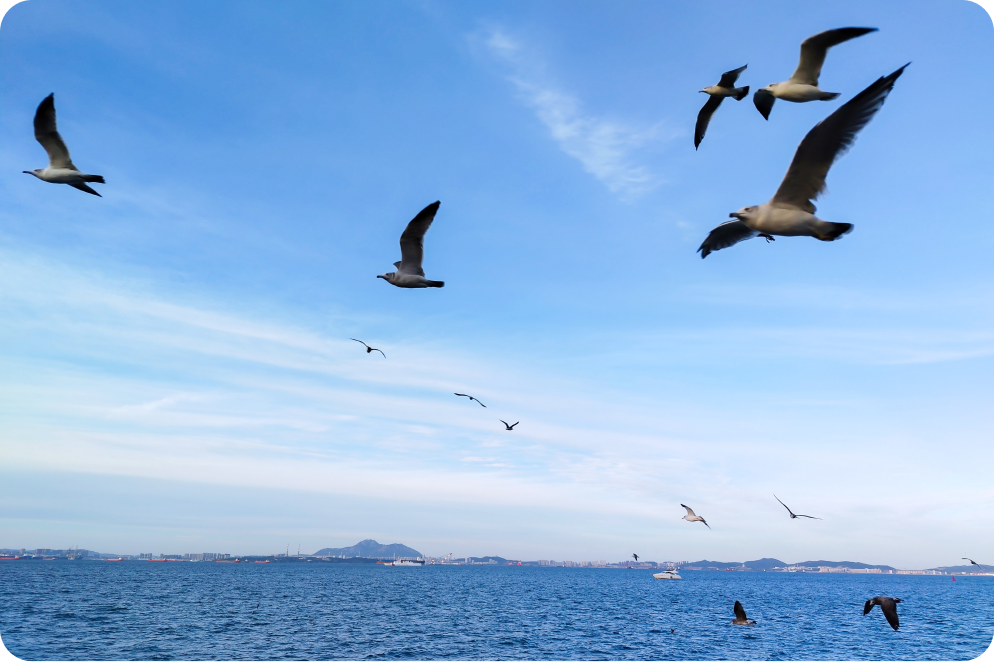 Momentos invaluables capturados para siempre 3