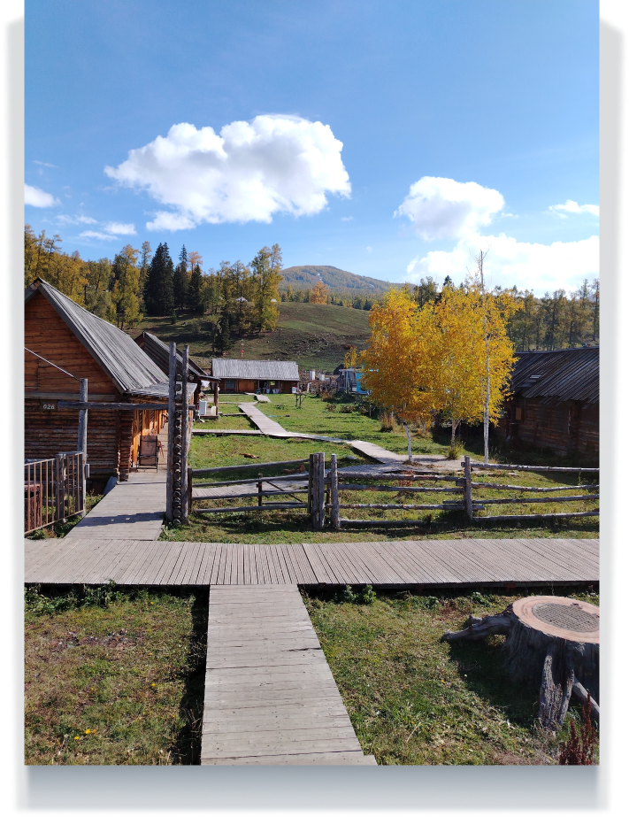 Imágenes y colores que cobran vida 2