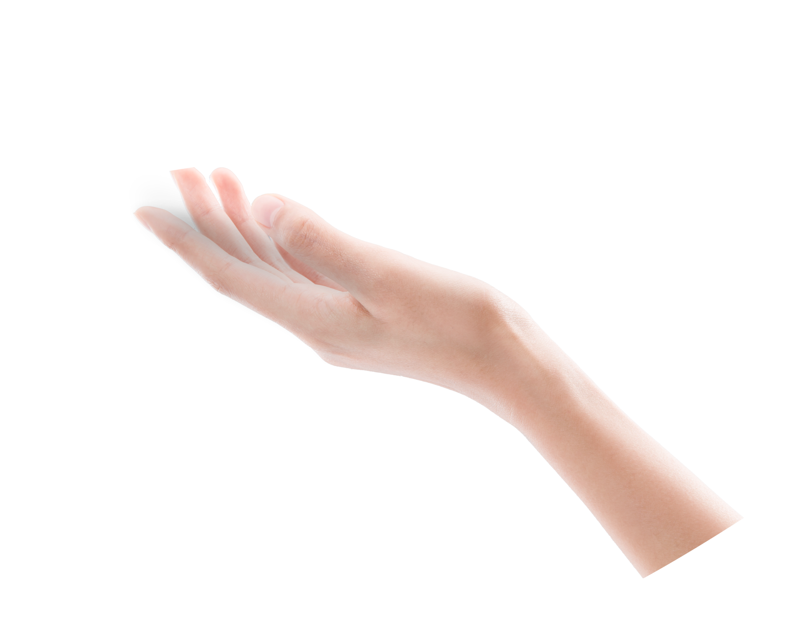 Diseño metálico delgado, con un buen agarre 4