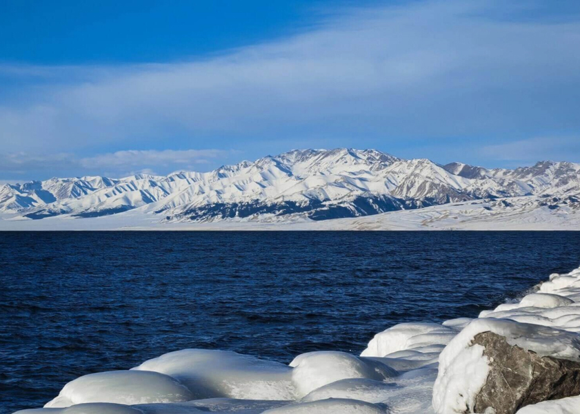 Optical Zoom vs Digital Zoom: Which One Is Your Smartphone Using?