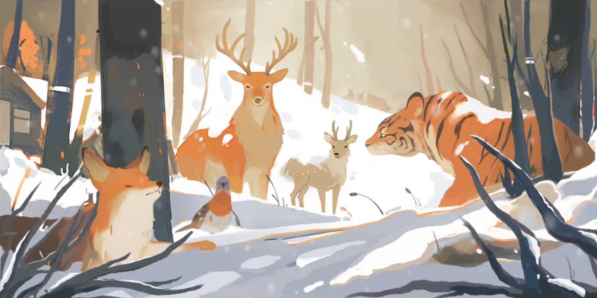 Open Designs 3rd Place