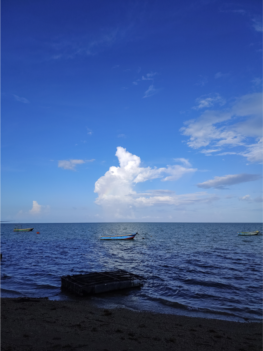 3X Optical-level Zoom