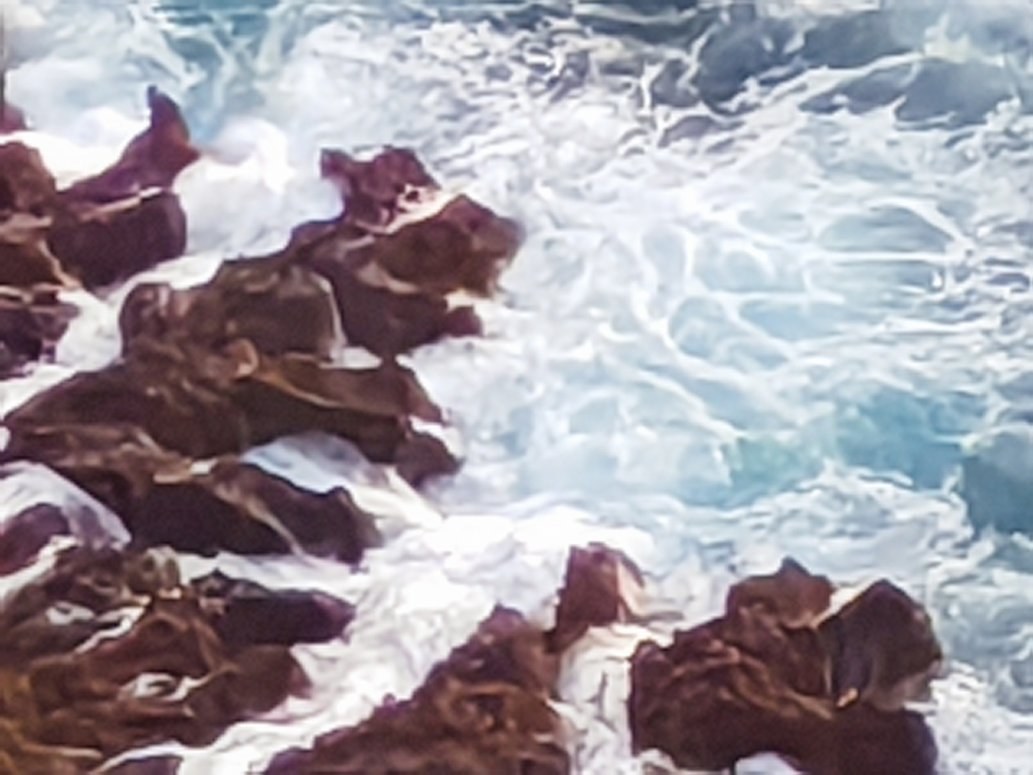 Telephoto, Shows the True Ability