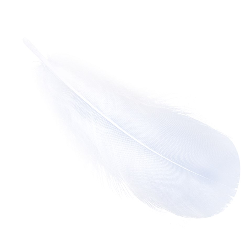 Light Like Feather, Stay Refreshing. 2