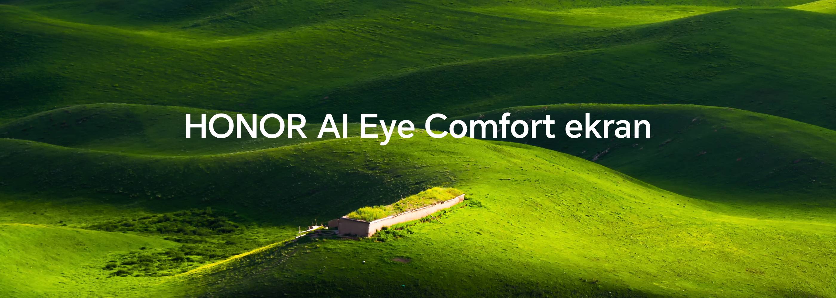 HONOR AI Eye Comfort Display