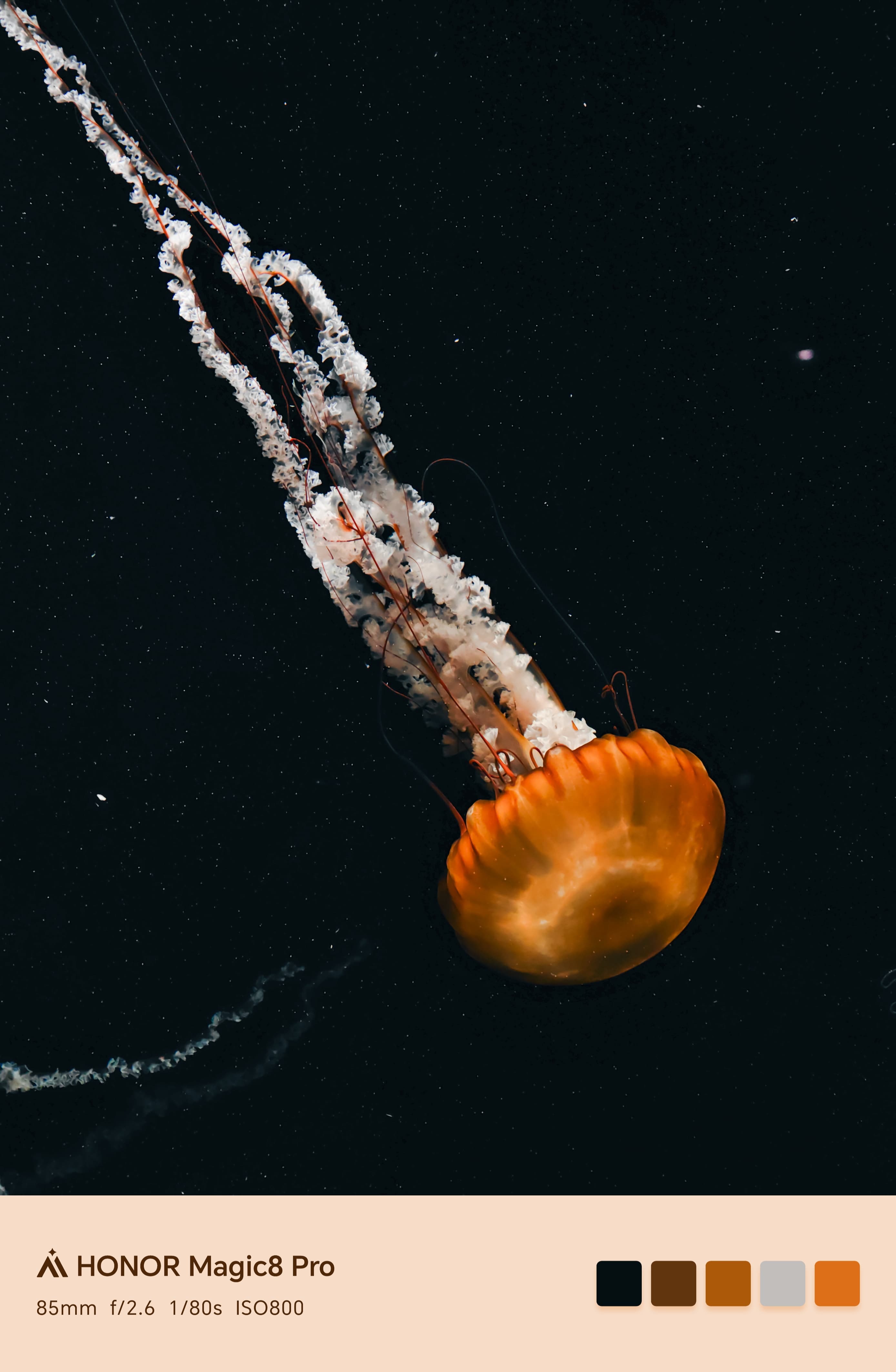 200MP Ultra Night Telephoto Camera 2