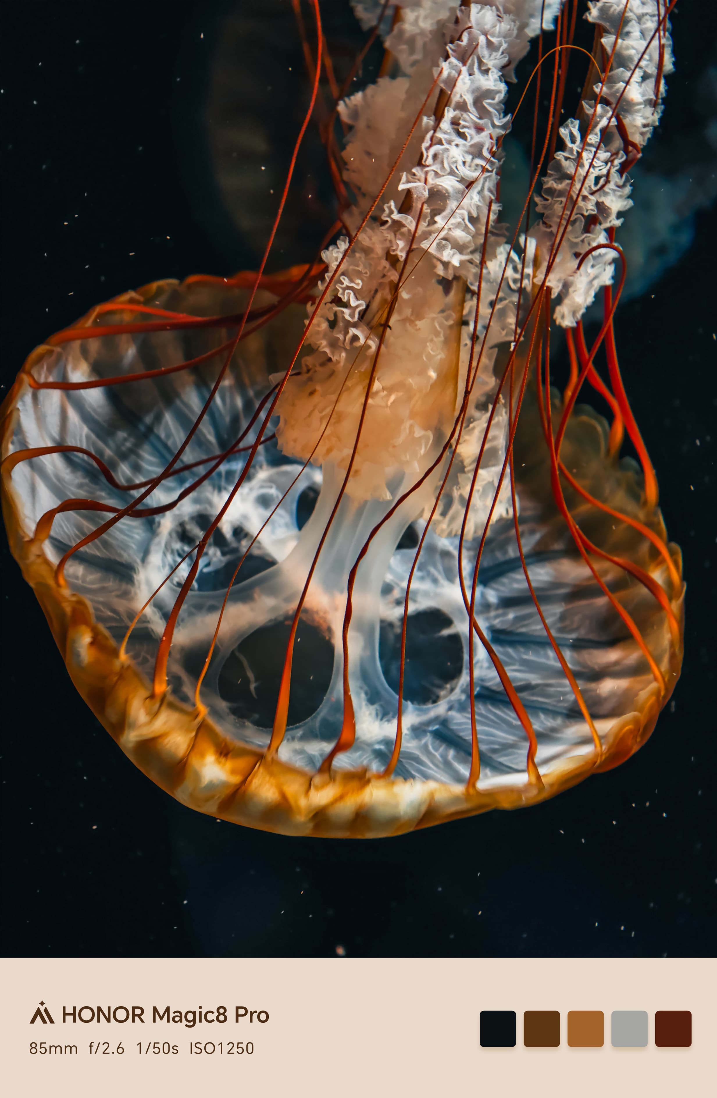 200MP Ultra Night Telephoto Camera 1