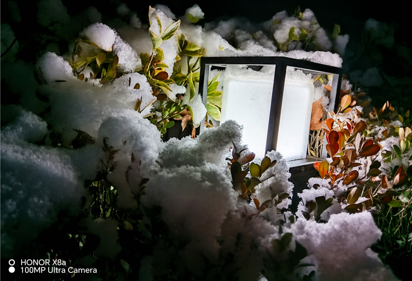 Zachyťte rozmarnosť noci 1