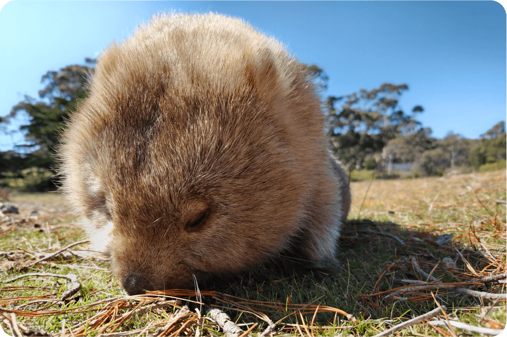 ช่วงเวลาแห่งความอบอุ่นที่ถูกพูดถึงด้วยความสดใส 1