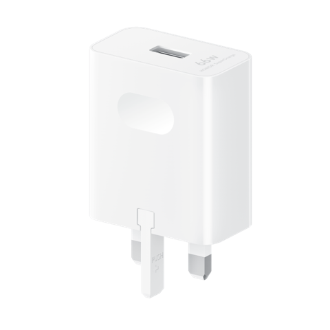 HONOR SuperCharge Power Adapter 66W
                