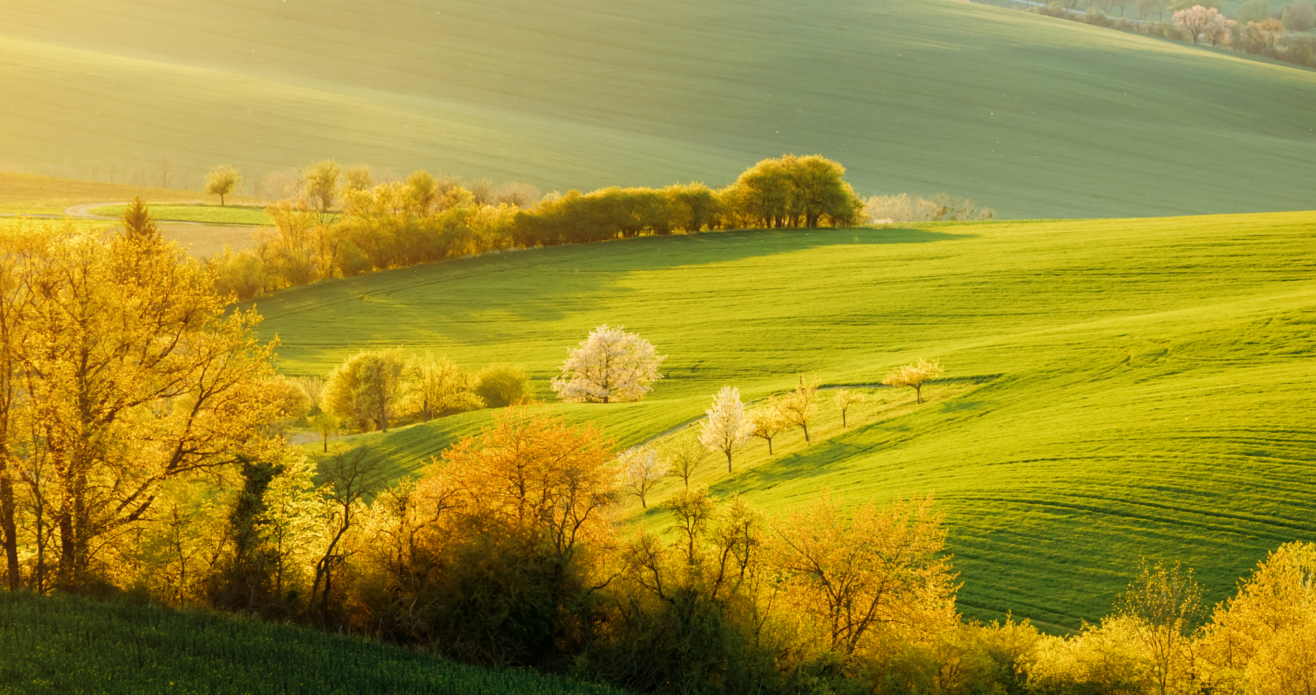 Premium Eye Comfort, Multi-fold Protection 2